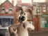 Gromit from Wallace & Gromit, looking confused